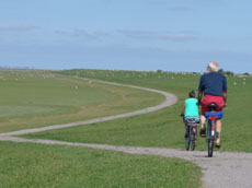 Radfahren auf dem Deich - (C) www.ferienhaus-nordfriesland.com