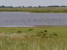 Speicherbecken  - (C) www.ferienhaus-nordfriesland.com