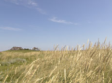 Hamburger Hallig - (C) www.ferienhaus-nordfriesland.com