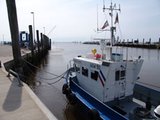 Hafen in Schlttsiel - (C) www.ferienhaus-nordfriesland.com